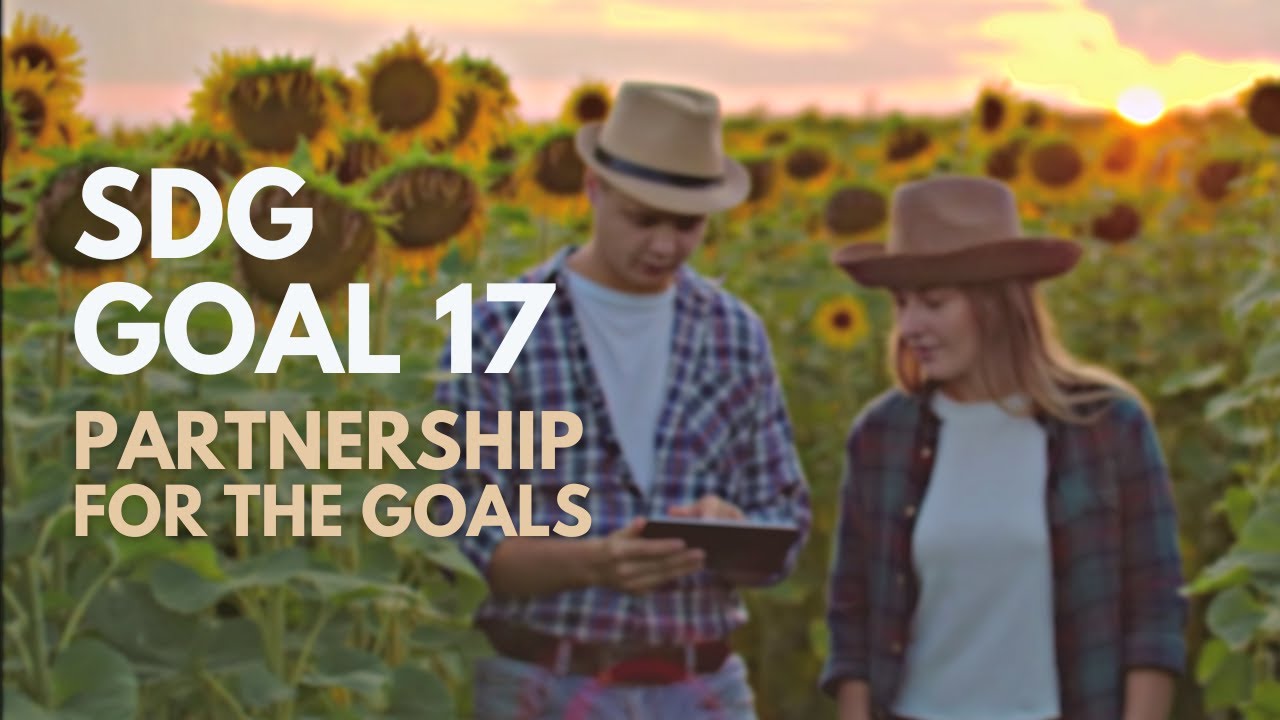 Sdg 17 Partnership For The Goals Sustainable Development Goals Youtube