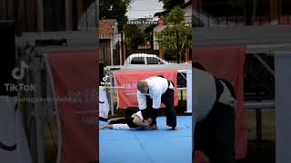 Aikido Iwama Shin Shin Aiki Shuren Kai