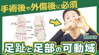 【明日から使える】足関節の手術後の足趾・足部の拘縮のポイント！