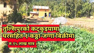 पानी पसुपालन र तरकारी बालिकोलागि राम्रो जग्गा💯|| Land For Sale In Tulsipur Katakuiya Dang Nepal ||