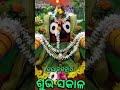 ଡିସେମ୍ବର 25 2024