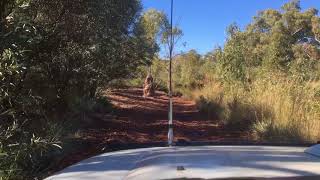 Kalgan River Water Crossings