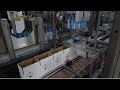 Case Packing System with Integrated High Speed Case Erector | Aerosol Products