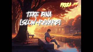 Tere Bina ( S l o w + r e v e r b )  Aden | Latest Punjabi Songs 2024 (un)broken |