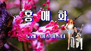 홍매화 / 미스미스터(가사 첨부)