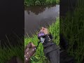 Bahya main air musim skg ni jd kta mancing ats moto jaa.. 😁pun boleh bas2 jugak 📽️ hakimi