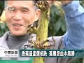 20120103 公視中晝新聞 蕉農設攤賣香蕉 利潤免受剝削