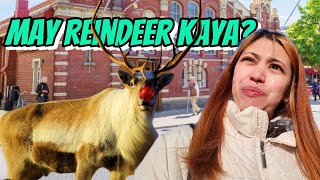 Pinay in Finland | Walking Tour in Helsinki Oldest Market Hall |Trying Traditional Finnish Dishes