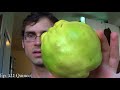 mamey apple review mammea americana weird fruit explorer ep. 222