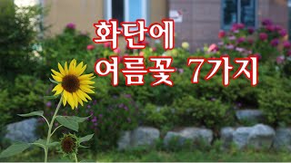 화단에 여름꽃 7가지