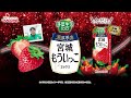 2024年11月26日　野菜生活１００　濃厚果実宮城もういっこミックス