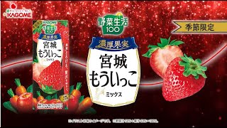 2024年11月26日　野菜生活１００　濃厚果実宮城もういっこミックス