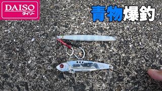 This is the Daiso lure that will catch a lot of bluefish in the middle of winter.