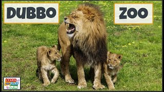 Dubbo Zoo: Places to Visit in Australia