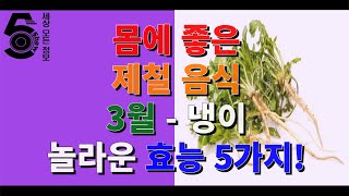 몸에 좋은 제철 음식 3월 - 냉이 놀라운 효능 5가지!