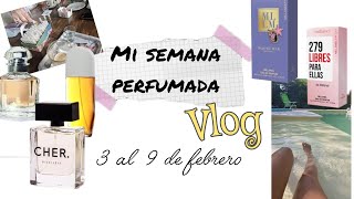 MI SEMANA PERFUMADA \u0026 VLOG #bandejaperfume #vlog