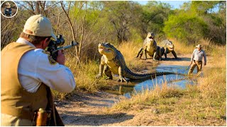 How Do Hunters and Farmers Deal with Millions of Crocodiles, Baboons, Feral Hogs and Lions by Guns?