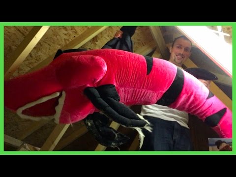 DECORATING THE TREE -- VLOGMAS DAY 4 DECORATING THE TREE -- VLOGMAS DAY 4