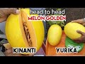 REVIEW SINGKAT MELON GOLDEN KINANTI DAN YURIKA