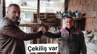 Ermeni Süryani Mardin Taklacı güvercin i buluştuğu tek kümes!!Salih İyem