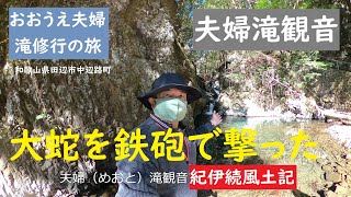 女に化けた大蛇【おおうえ夫婦滝修行の旅】第119回「夫婦滝観音」2022年2月4日取材　若い女に化けた大蛇を鉄砲で撃つ　紀伊続風土記