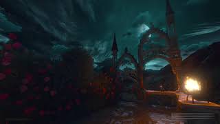 Witcher Music & Ambience Peaceful Night in Toussaint