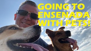 Going to Ensenada with Pets - It's an Adult Playground of Fun Activities!