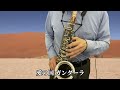 0064【ガンダーラ】アルトサックス🎷演奏