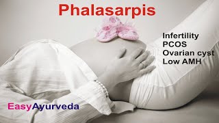 Phalasarpis in Kannada ಫಲಸರ್ಪಿಸ್ - Uses, Ingredients