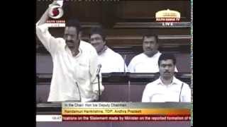 TDP MP Harikrishna speaking in telugu @Parliament