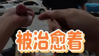 经历过黑暗，依然能向往光明是种能力，愿我们都不缺失。 摆摊 烤肠 治愈 王摆摆的生活日记 王摆摆不摆烂