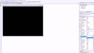 Visual Basic 2008 Advanced Screenshot Taker with custom regions tutorial