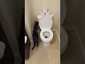 cat using toilet and flushes 1 2