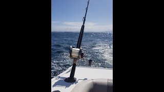 Batemans bay Fishing Trip Feb 2020