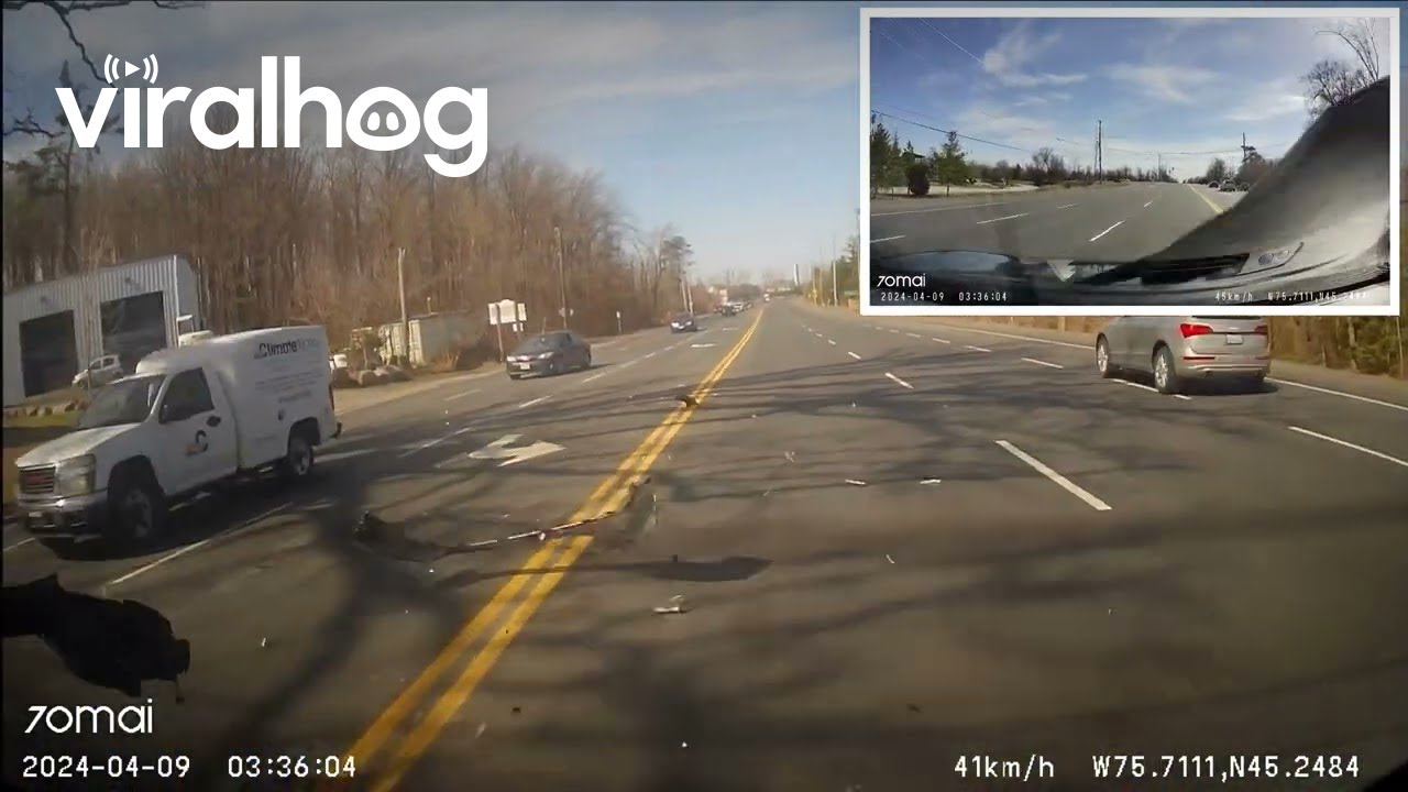 Rear End Collision Captured On Dashcam Viralhog Youtube
