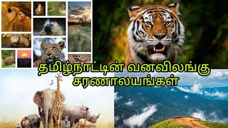 தமிழ்நாட்டின் புதிய வனவிலங்கு சரணாலயம்!|#facts #factsintamil #wildlife #youtube #shortvideo #sub