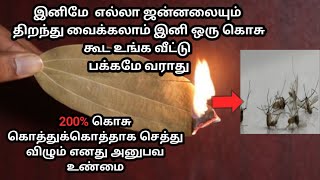 இனி கொசு தொல்லை இல்லை veralevel ஐடியா😲 / Natural mosquito repellent / kosu thollai poga super Tips..