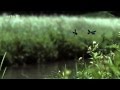 Jan Garbarek - The Creek