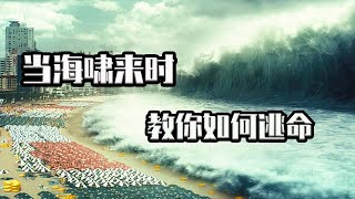 海啸来临前的预兆，面对海啸我们应该如何逃生，要学会保护自己丨大王情报社