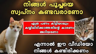 നിങ്ങൾ പൂച്ചയെ സ്വപ്നം കണ്ടവരാണോ നിങ്ങളിലേക്ക് പണംവരാത്തതും വന്നപണം കയ്യിലിരിക്കാത്തതിന്റെയുംകാരണം