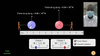 Coulomb's Law Simulation | Science Experiment | Virtual Lab Simulation