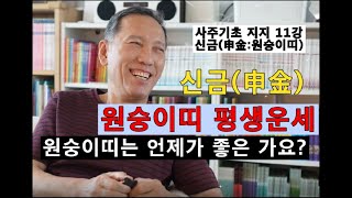 사주기초지지11강 신금申金 내사주 내가 본다 신금(申金)의 특성과 변화 그리고 원숭이띠 운세의 흐름을 정리하였습니다. #명리학 #사주 #운세 #지지 #사주팔자