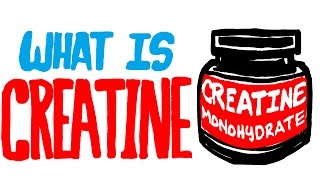 What is Creatine? Should You Be Taking This Supplement?
