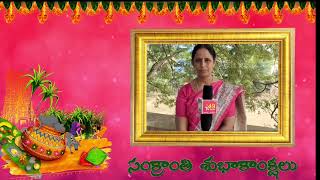 తెలుగు ప్రజలకు సంక్రాంతి శుభాకాంక్షలు || Tv49 News