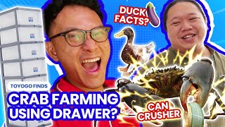 Growing Crabs Up To 3KG in Singapore with TOYOGO Drawers?! Ft. LibertarianFarmer  | TOYOGO