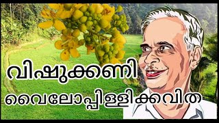 വിഷുക്കണി||വൈലോപ്പിള്ളിക്കവിത #malayalam #kavitha #poem #changampuzha #poetry #youtube #vishukkani