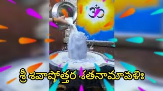 శ్రీ శివాష్టోత్తర శతనామావళిః #shiva #siva #శివ #శివరాత్రి #శివాయ #శివభక్తి #శివలింగం #శవాష్టోత్తరం🙏🌹