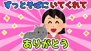 【2chほのぼのスレ】猫カフェからお迎えした子…ずっとずっと一緒にいてくれてありがとう...【ゆっくり解説】