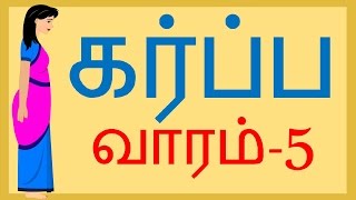 Pregnancy |Week by Week | Tamil | Week 5