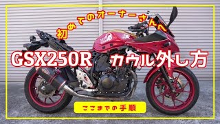 初めてのジスぺケオーナーへ【GSX250R】カウルの外し方